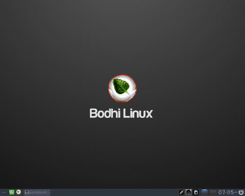 bodhi linux