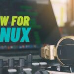 daw for linux