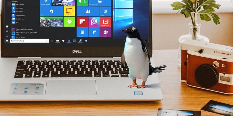 Read more about the article Обмін файлами між Windows та Linux