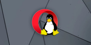 Read more about the article Як встановити веб-браузер Opera на Linux