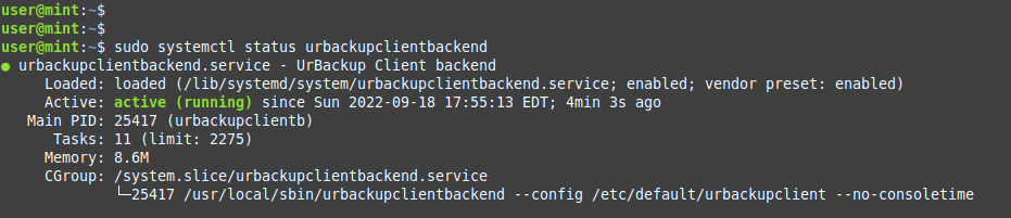 check urbackup client status - How to install UrBackup backup system [сервер/клиент] in Ubuntu