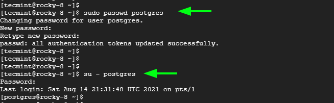 set postgres user password - How to install PostgreSQL 15 on Rocky Linux and AlmaLinux
