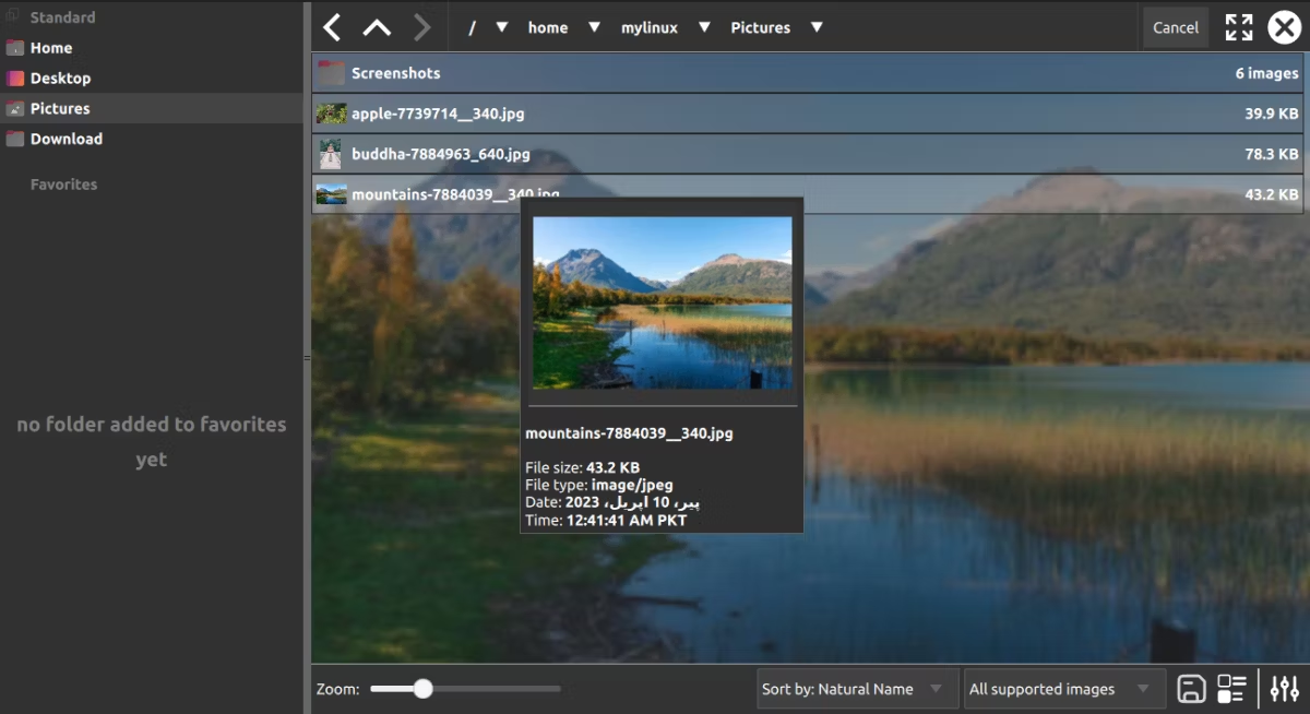 PhotoQt Image Viewer
